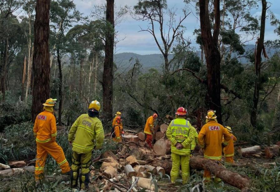 Strike team efforts support the recovery in the Dandenong Ranges CFA