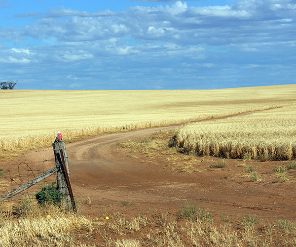 Farm fire safety