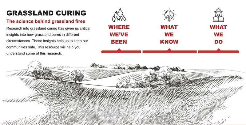 Science behind grassland curing