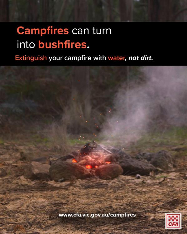 campfires feed image