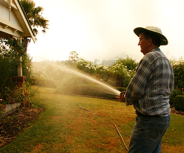 Plan and prepare - man watering plants