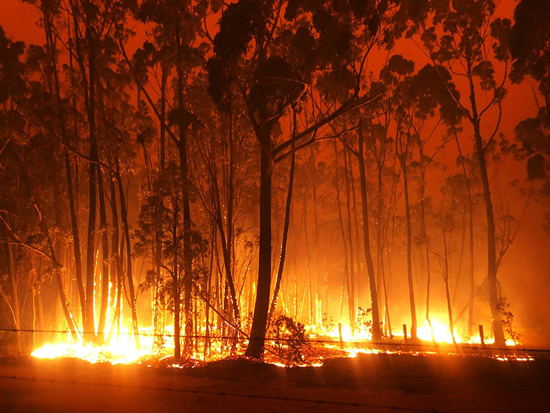 Mallacoota fire