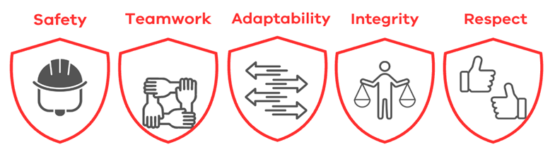 CFA Values graphic