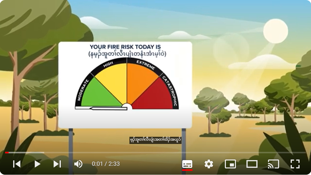 CFA FDR animation 