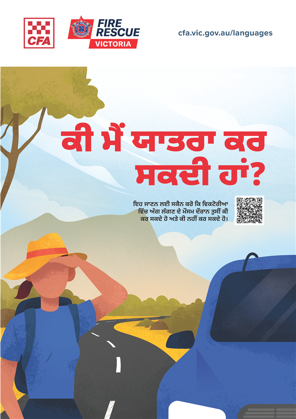 CICI Travel poster Punjabi