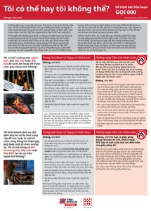 Can I or Cant I - Vietnamese thumb