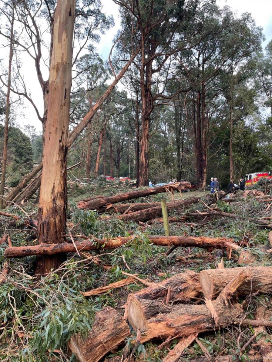 Strike team efforts support the recovery in the Dandenong Ranges CFA
