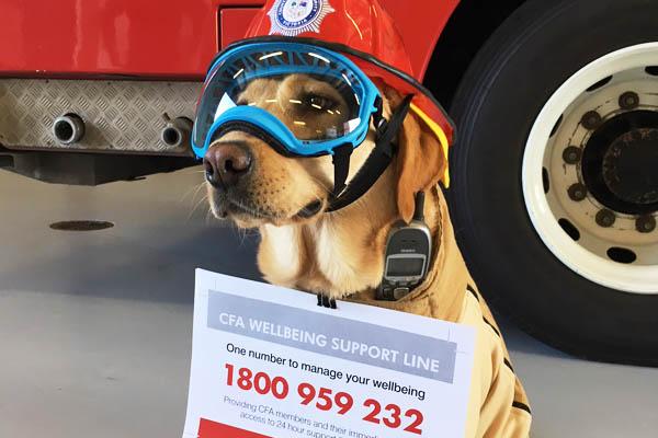One number for wellbeing