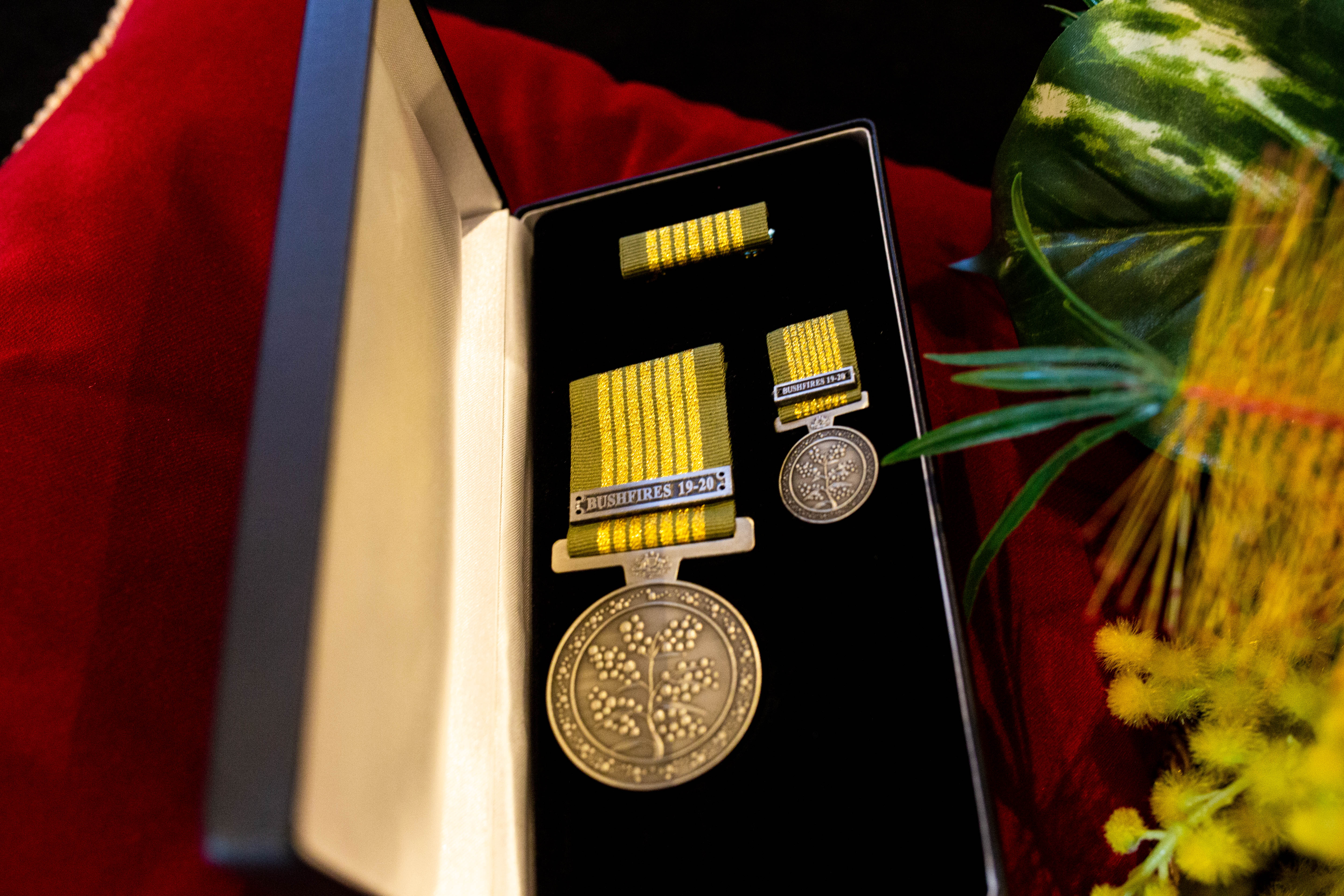26519_16994_05Jun2023154636_2019 2020 National Emergency Medal.jpg