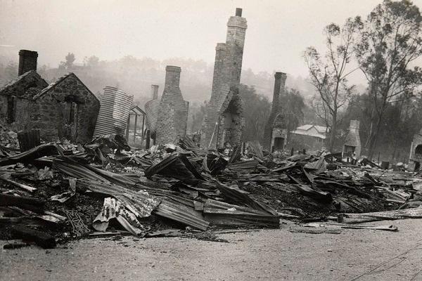 The Black Friday fires and the birth of CFA
