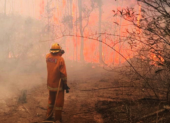 Firefighter in bushfire ground