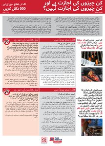 Can I or Cant I - Urdu thumb