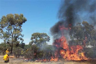 Huntly-Bushfire-thumb