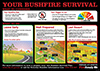 Bushfire survival options poster