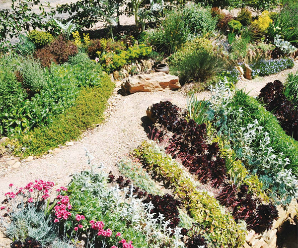 Landscaped garden