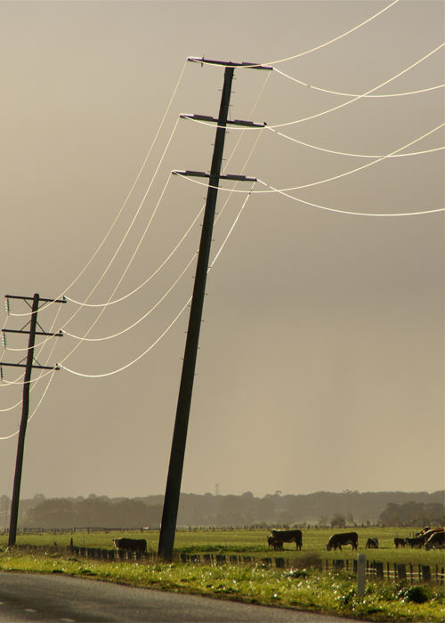 power lines