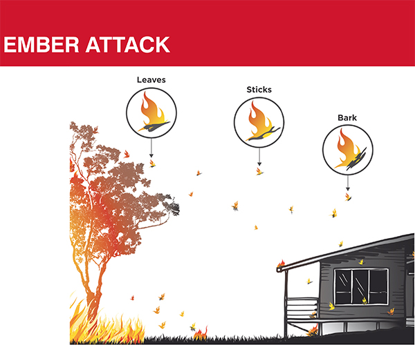 Ember attack flyer