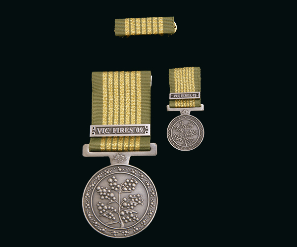 national emergency medal