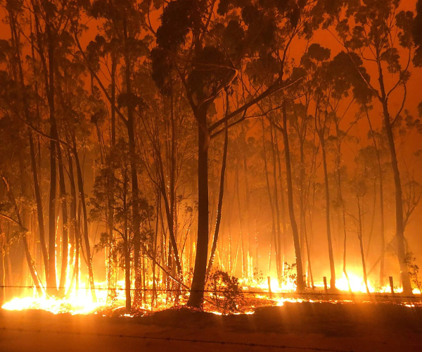 Bushfire burning