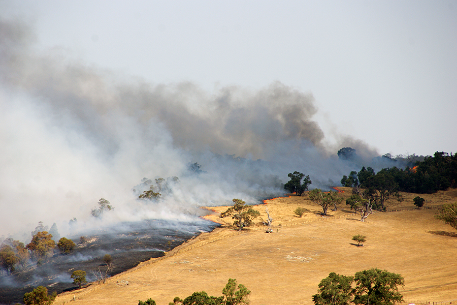 Upwey grass and scrub fire