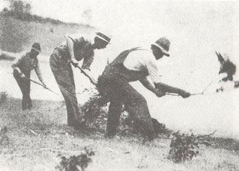 CFA historical image Black Sunday bushfires on Valentine\