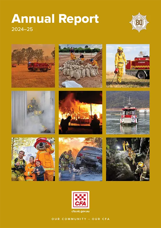 CFA-Annual-Report-2024-25