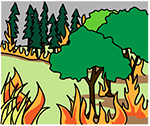 Simple graphic of a landscape with a grassy area adjoining different kinds of trees with fire in the foreground and in the distance