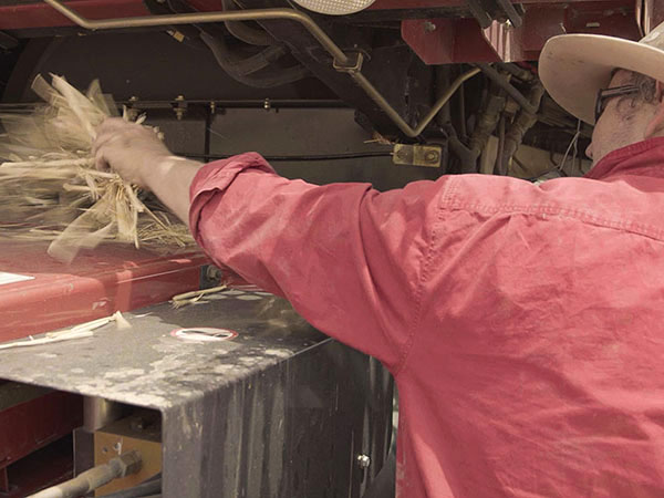 A farmer cleaning chaff and dust from a harvester.