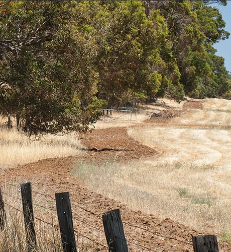 bare-earth-firebreak-460x500-web