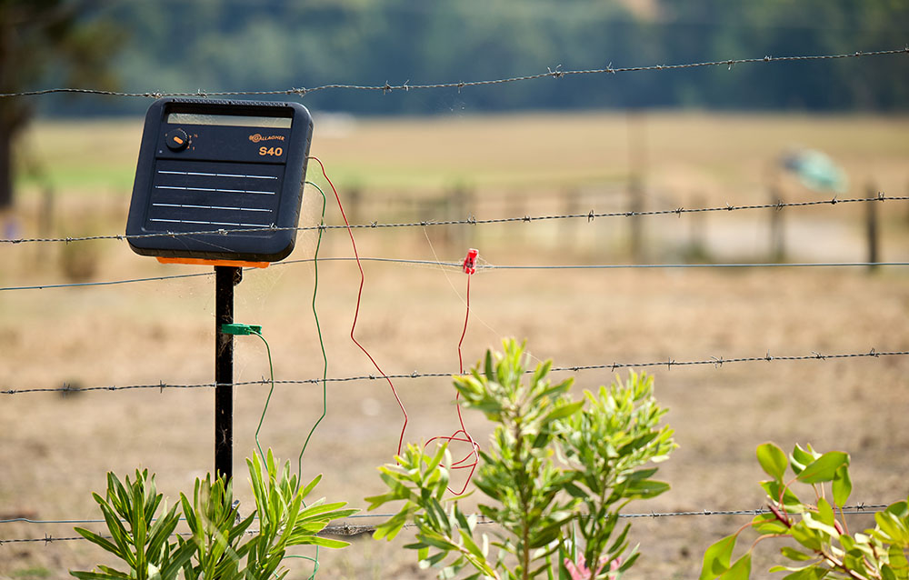 An electric fence control panel with red and green wires connecting it to an electric fence wire.