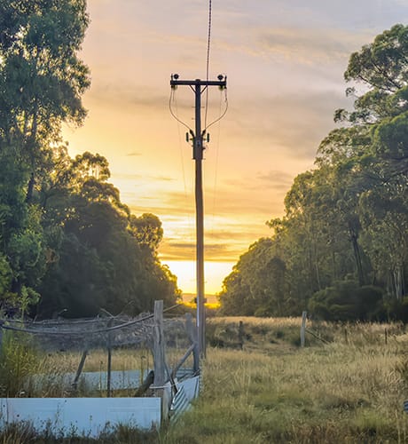 private powerline on farm 460x500