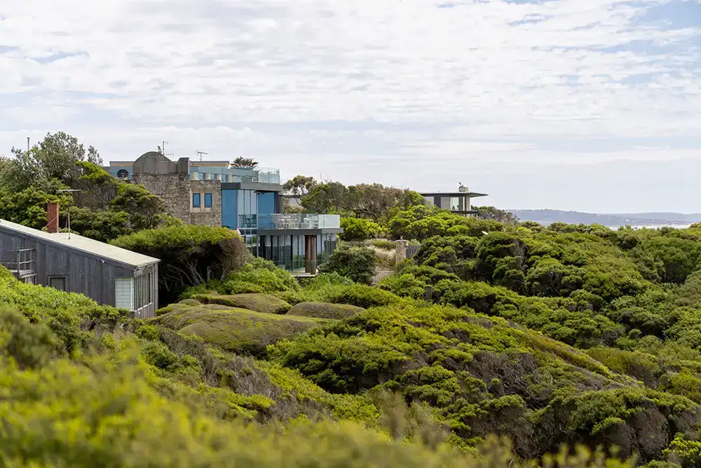 Three houses sitting on a hilltop with dense coastal scrub leading right up to the houses.