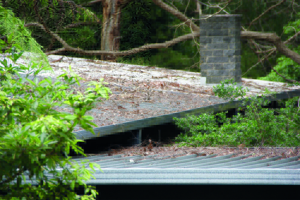 Dead leaf litter and fallen branches on a flat roof.
