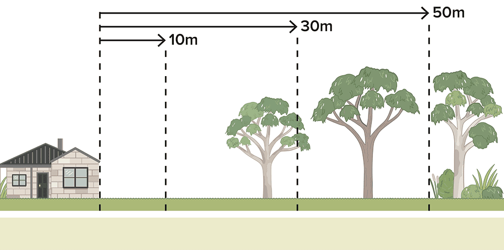 Drawing showing clearing vegetation distances from a house.
