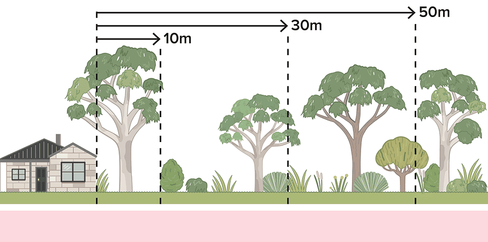 Drawing showing clearing vegetation distances from a house.