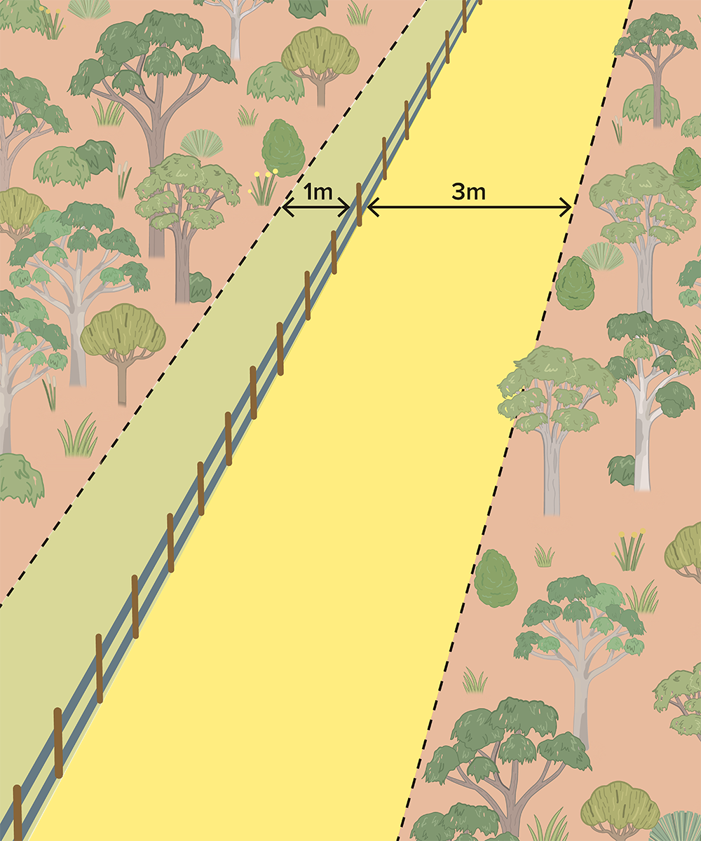 Diagram showing vegetation clearing distances allowed along a fence line. It shows 1m already cleared on the neighbour's side and 3m that you can clear on your side.