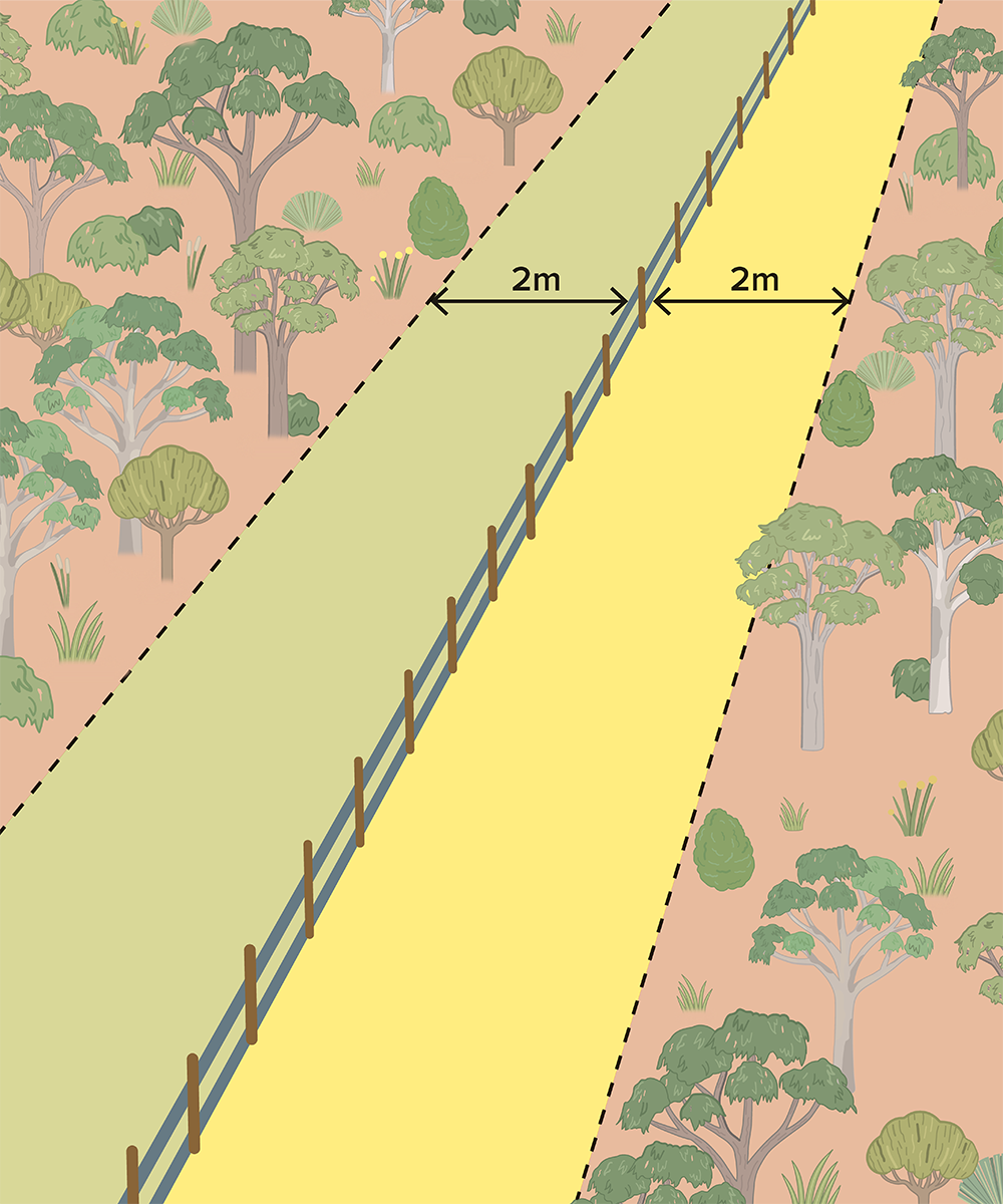 Diagram showing vegetation clearing distances allowed along a fence line. It shows 2m already cleared on the neighbour's side and 2m that you can clear on your side.