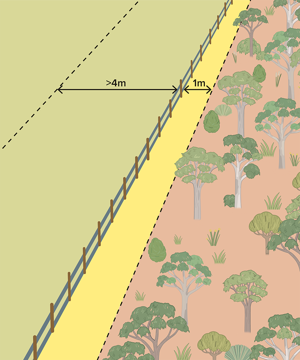 Diagram showing vegetation clearing distances allowed along a fence line. It shows 4 or more metres already cleared on the neighbour's side and 1m that you can clear on your side.