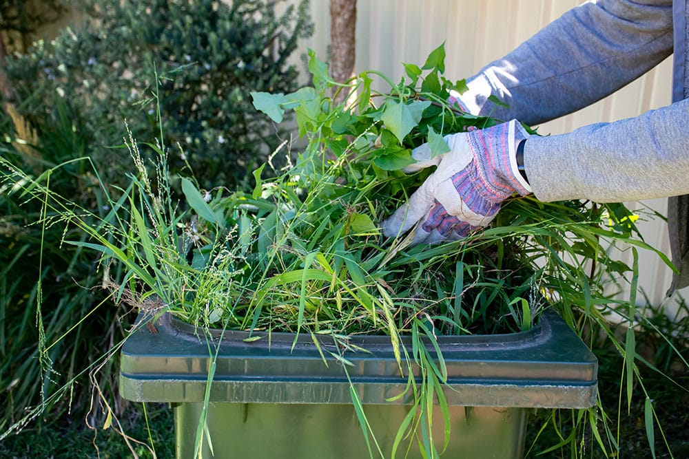Garden waste collection bin 1000