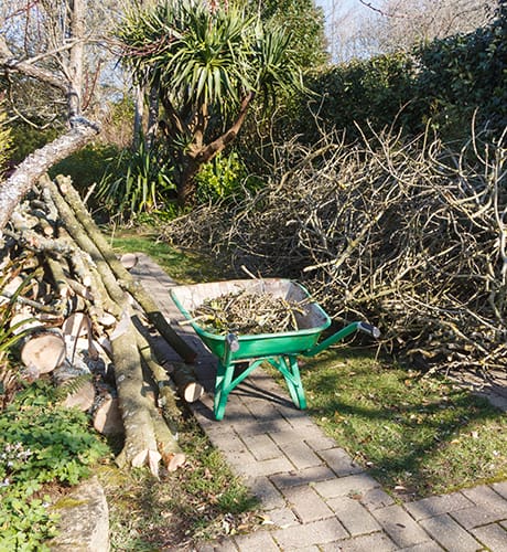 Removing trees and branches 460