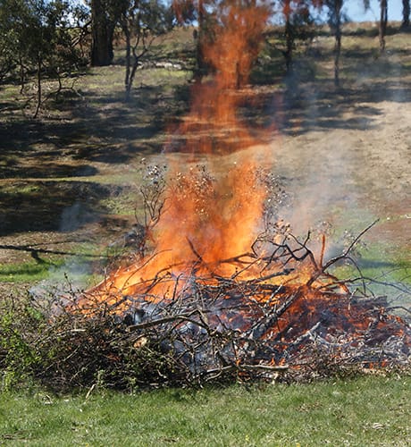 Burn off pile 460