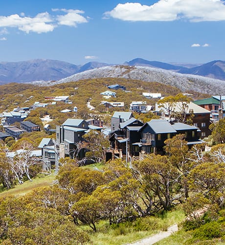 Mount buller no snow 460