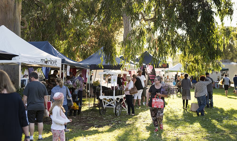 Market stands surrounded by low hanging gum trees.