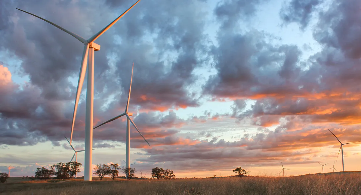 wind-farm-at-sunset-1600x650px