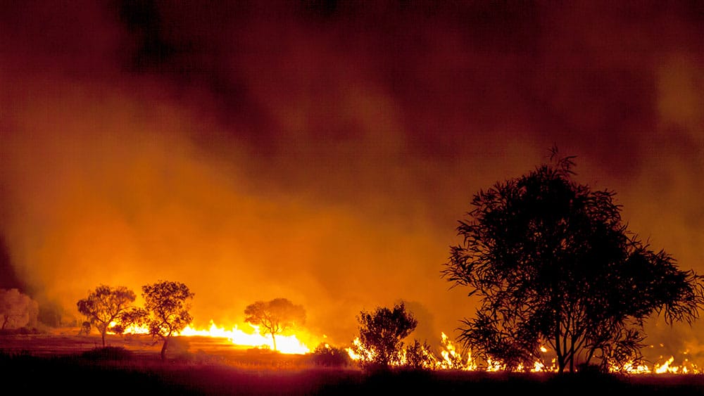 A grass and scrub fire burns at night.