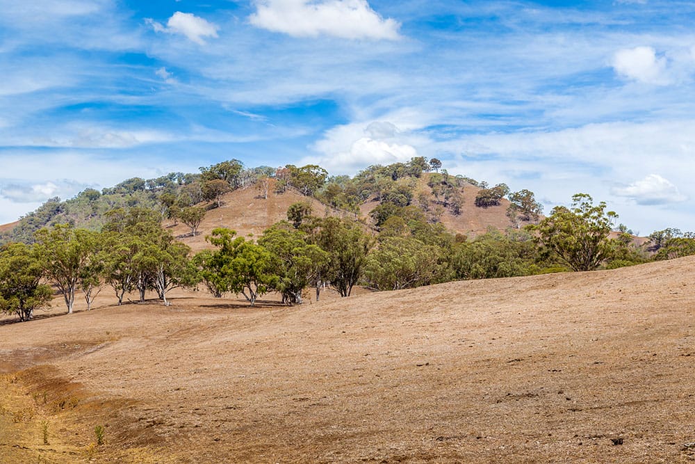 Very dry, brown grass on a hillside in the country.