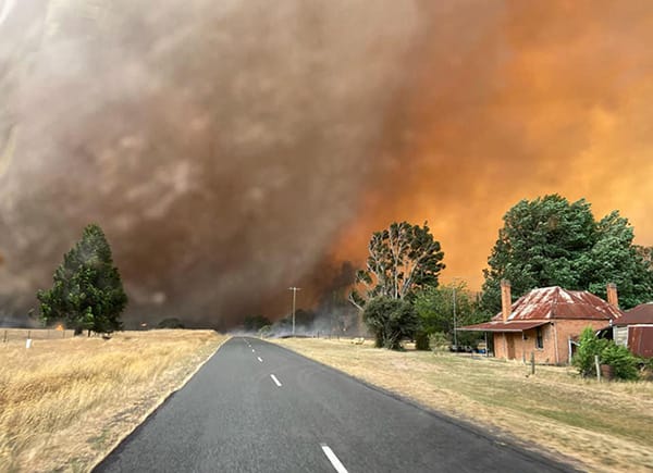 A country road extending into the distance past an old house with grass and trees being blown by strong winds. A bushfire is in the distance with a lot of smoke blowing across the road.