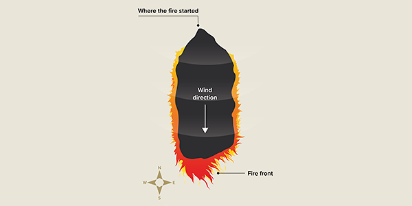 A diagram of a fire being blown south by a northern wind. The fire front is narrow. 