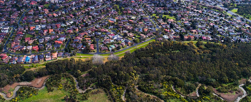 Aerial view of a heavily populated suburb directly next to urban bushland between the houses and a river.