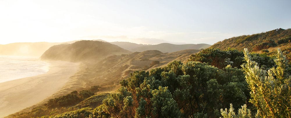 Looking over a sandy beach into the sun with sand dunes covered in coastal vegetation like heath and wind swept grasses on the right.